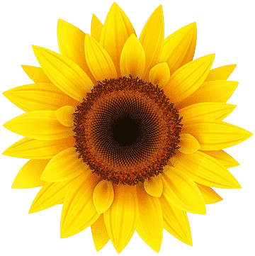 Flower Image